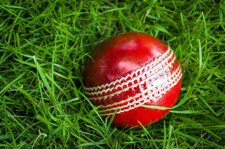 What Is the Weight of a Cricket Ball? | cric-life.com